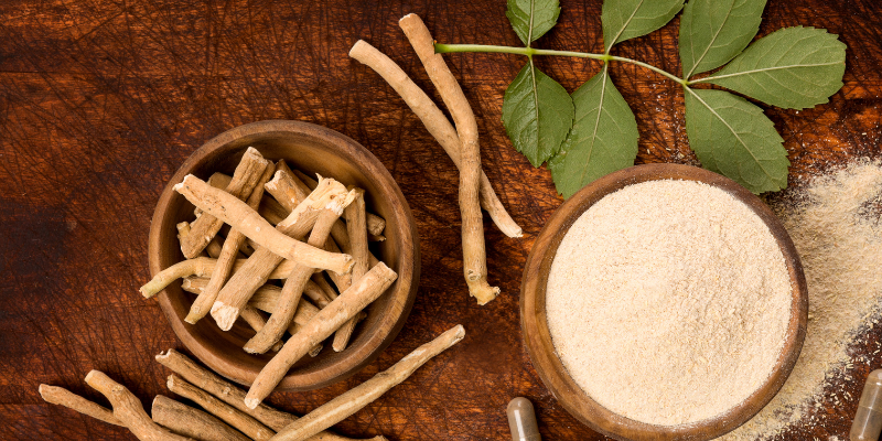 Ashwagandha: The Ancient Indian Superfood You Need in Your Life