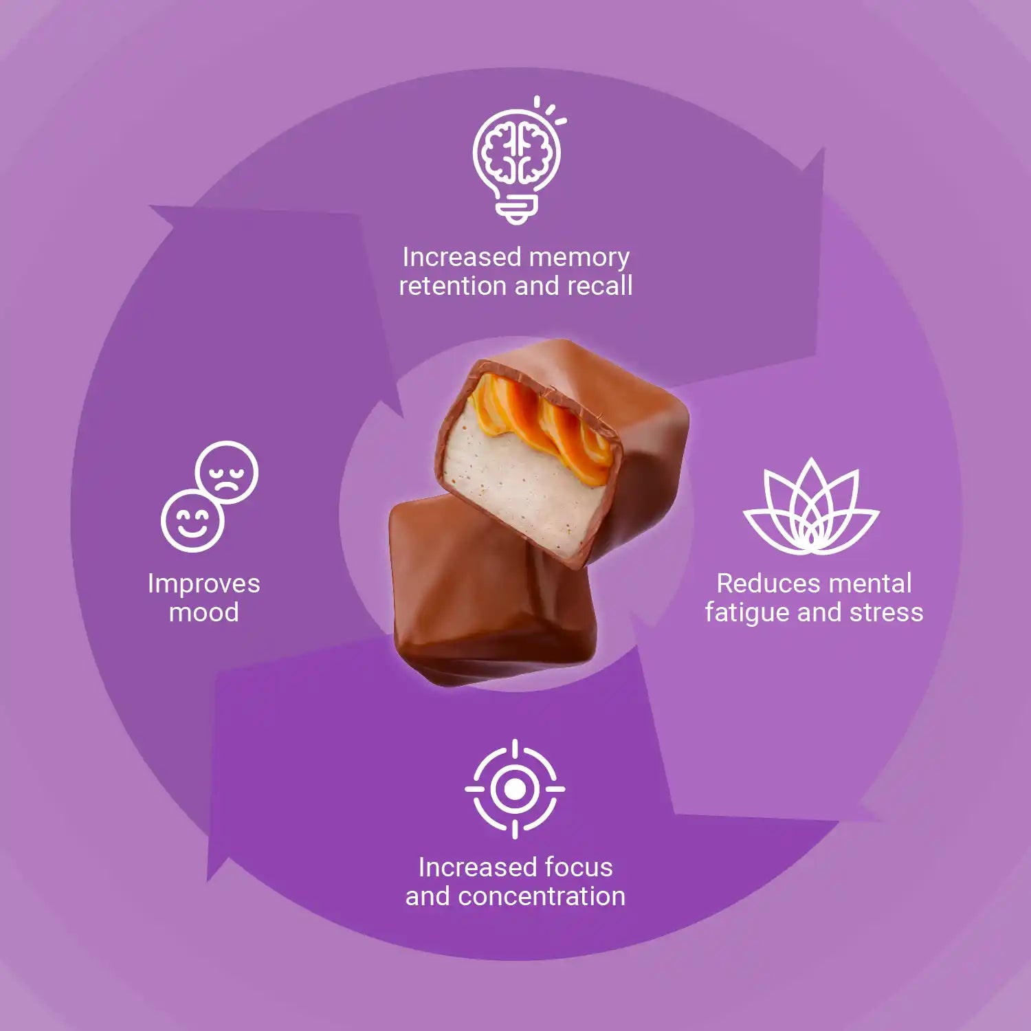Loop Brain Fuel Ultimate Brain Fuel Chocolate Bites