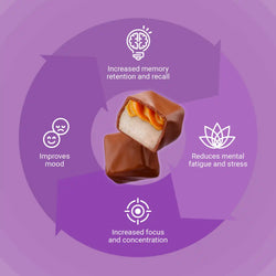 Ultimate Brain Fuel Chocolate Bites