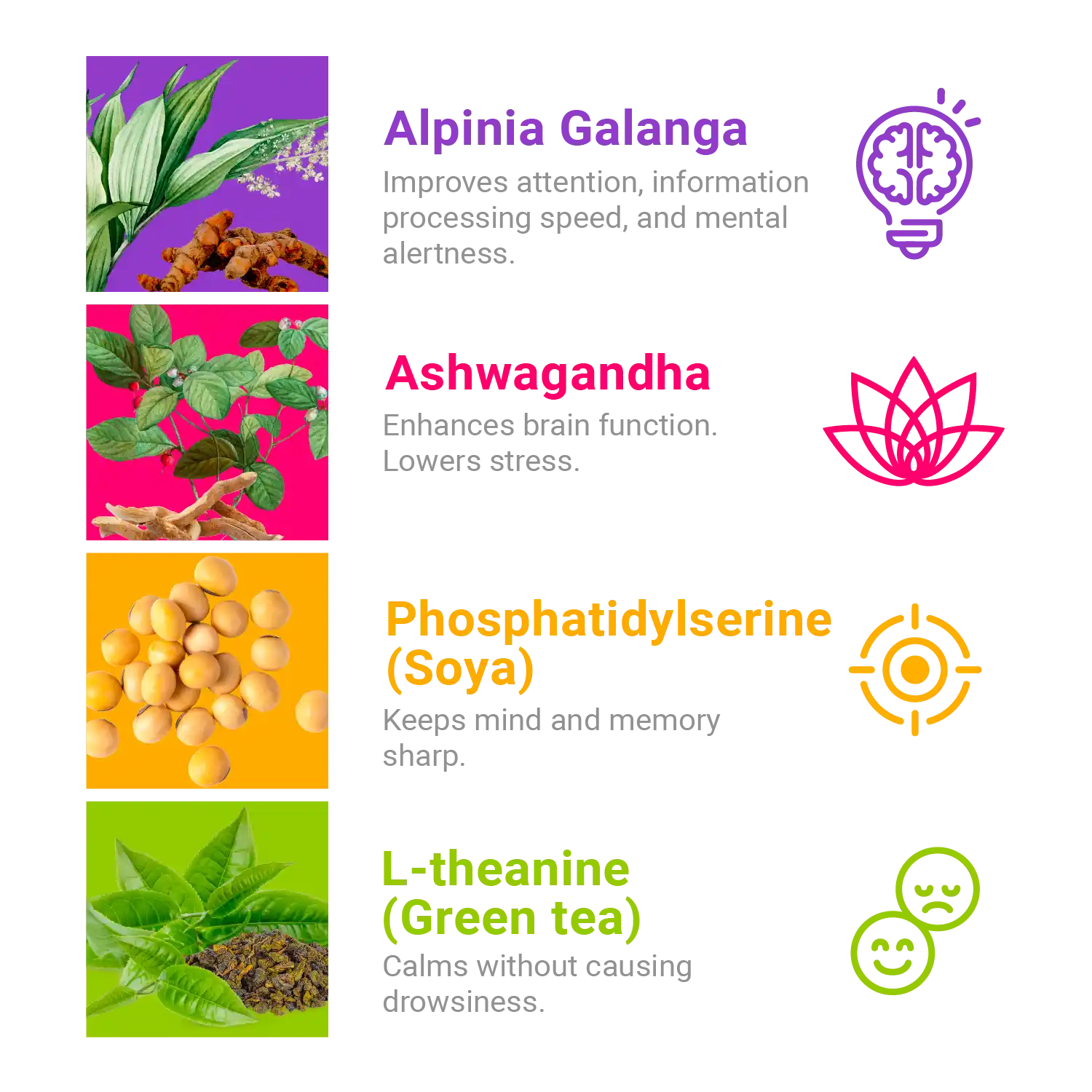 Ultimate Brain Fuel Chocolate Bites