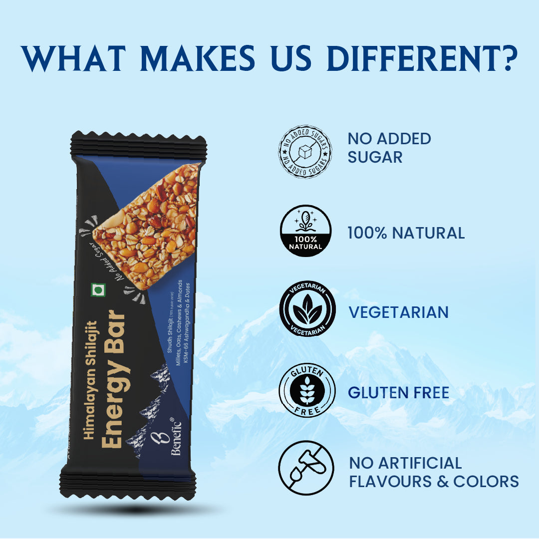 Himalayan Shilajit Energy Bar