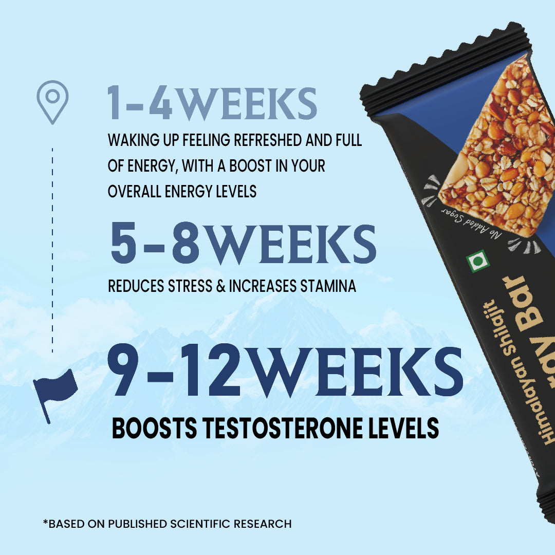 Himalayan Shilajit Energy Bar