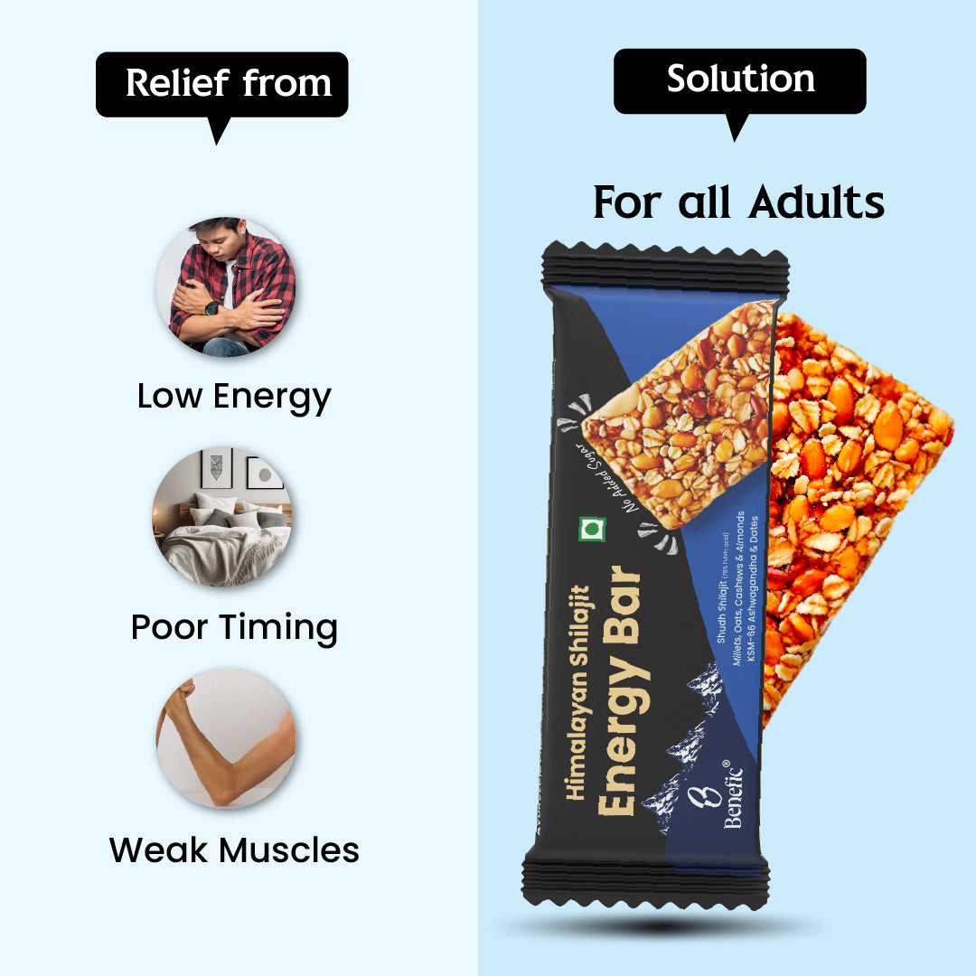 Himalayan Shilajit Energy Bar