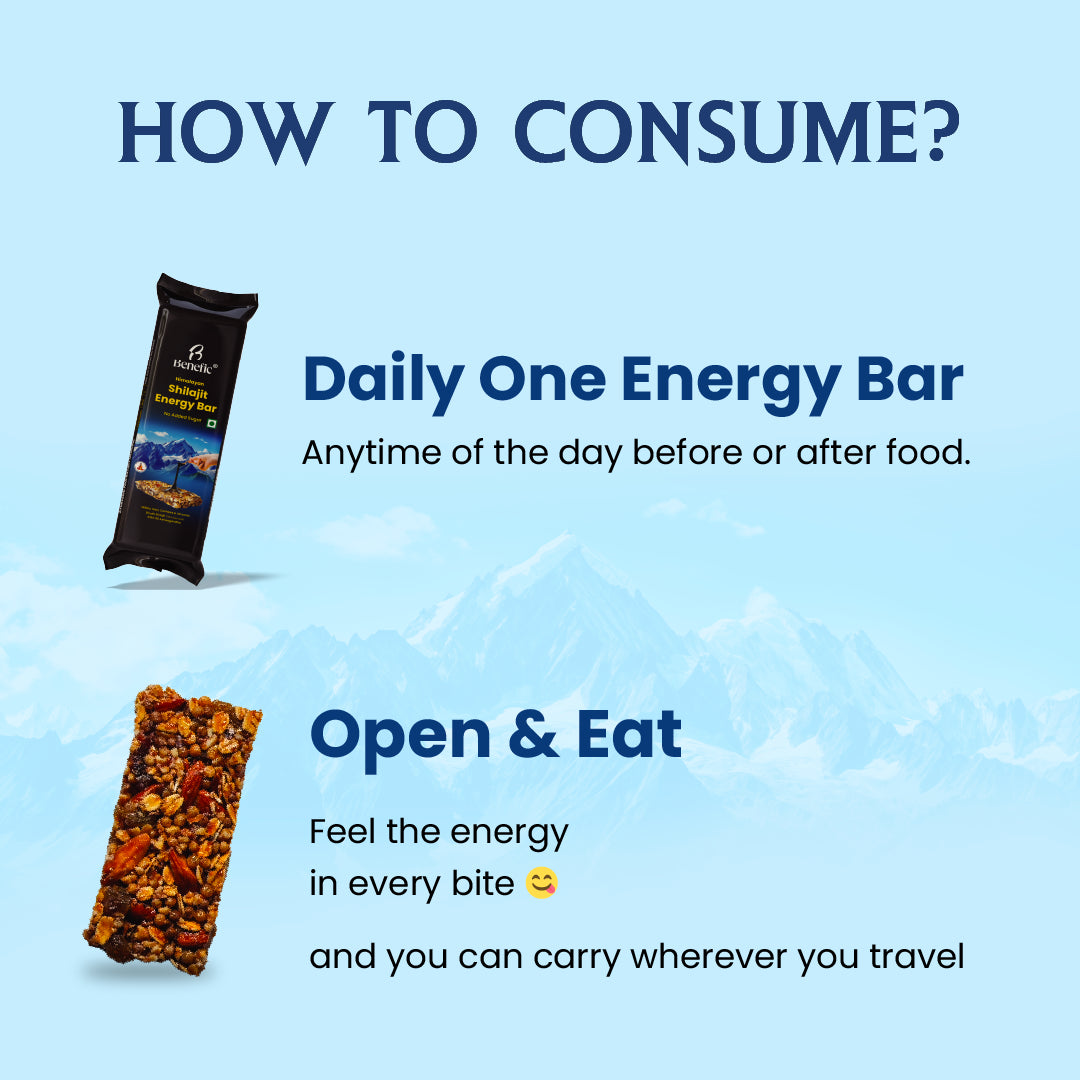 Shilajit Energy Bar