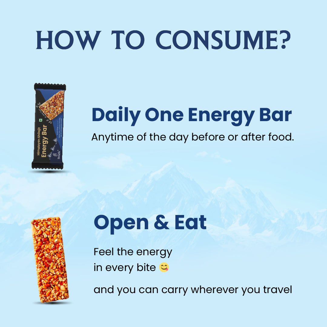 Himalayan Shilajit Energy Bar