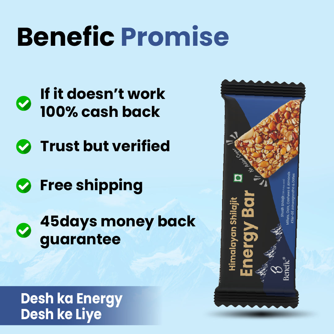 Himalayan Shilajit Energy Bar