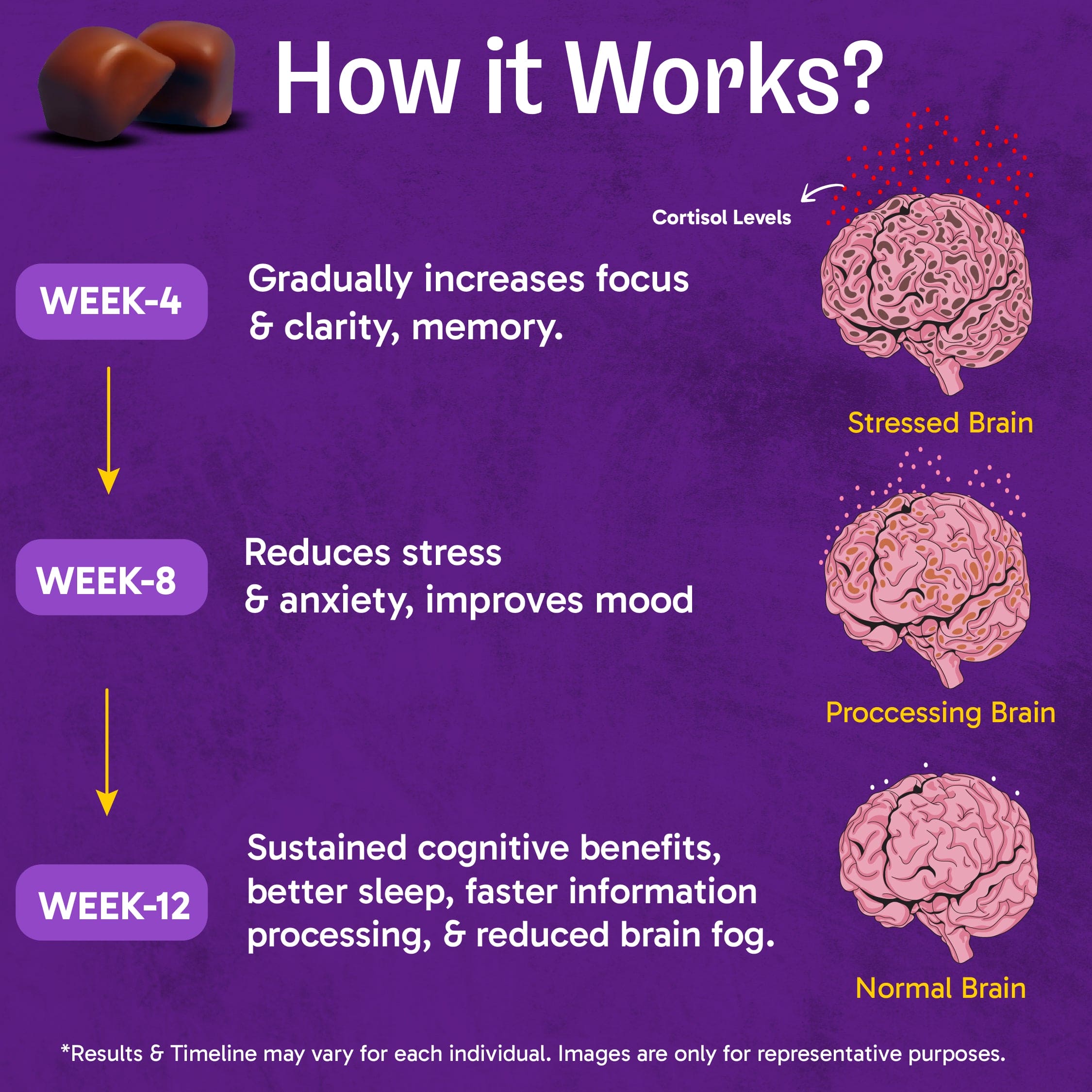 Ultimate Brain Fuel Chocolate Bites