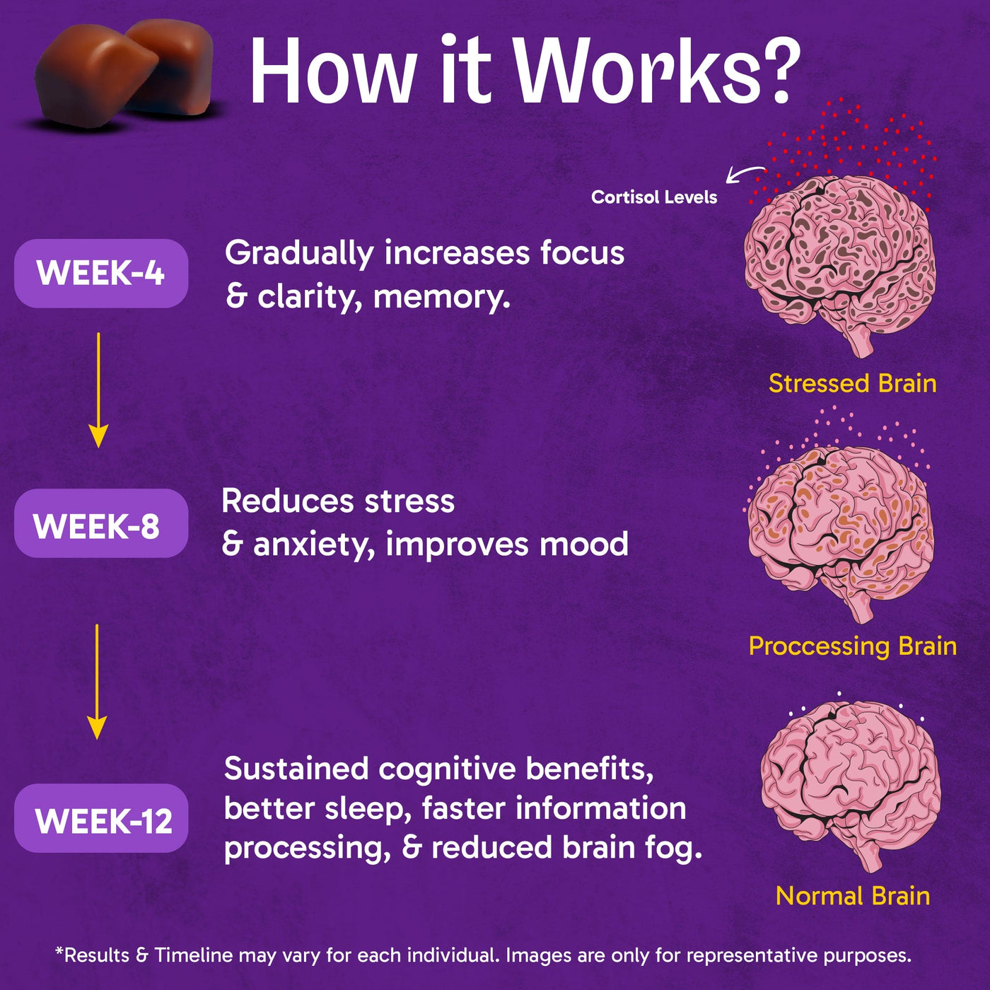 Ultimate Brain Fuel Chocolate Bites