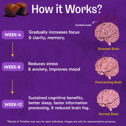 Ultimate Brain Fuel Chocolate Bites