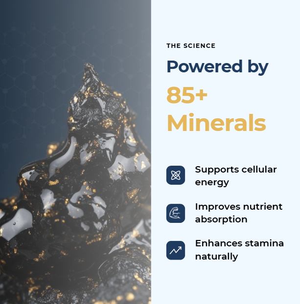 Himalayan Shilajit Energy Bar Free Sample