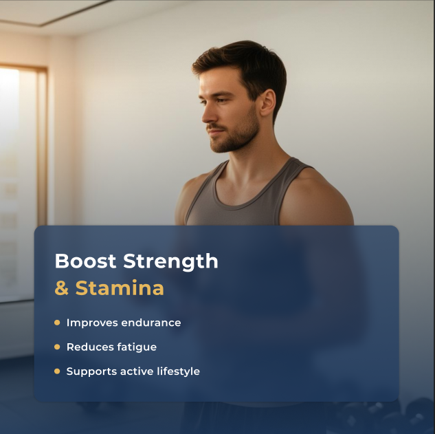 Himalayan Shilajit Energy Bar Free Sample