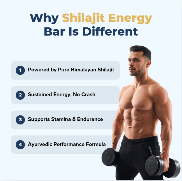 Himalayan Shilajit Energy Bar Free Sample