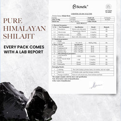 Himalayan Shilajit Energy Bar Free Sample